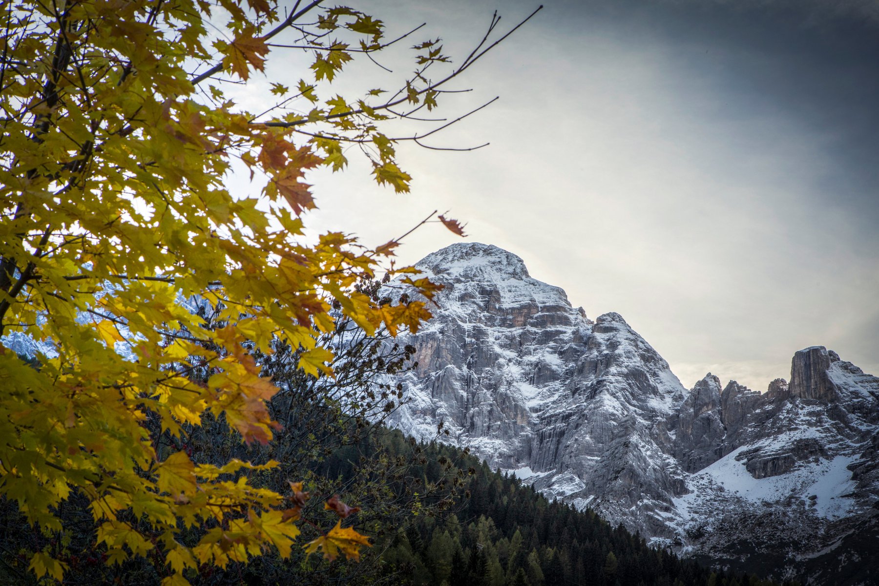 Monte Civetta — photo from their website