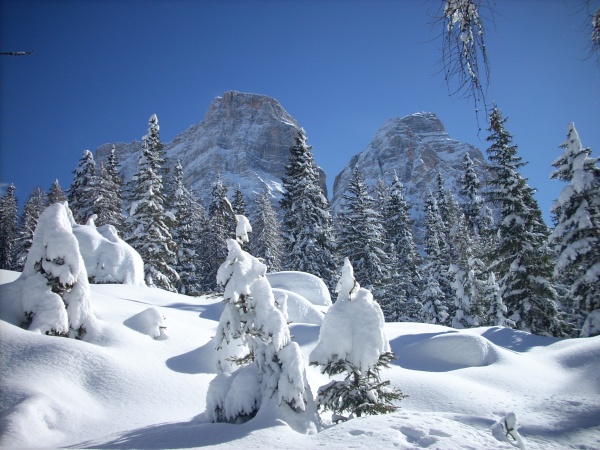 Con le ciaspole all'ombra del Pelmo