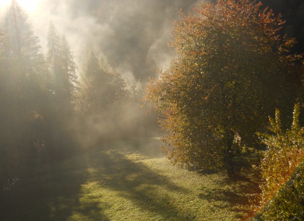 Foliage d'autunno: i boschi più belli