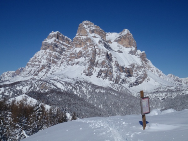 Snowshoe excursion | Mount Punta