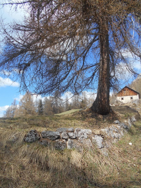 Camminata alla Croda che urla