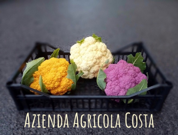 Azienda Agricola Eris Costa