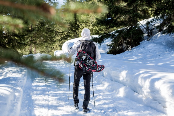 Snowshoe excursion | Forcella Cibiana - Copada Alta