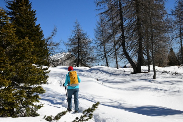 Snowshoe excursion | Palafavera-Coi