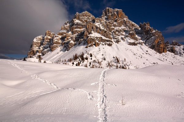 Snowshoe excursion | Val Pramper