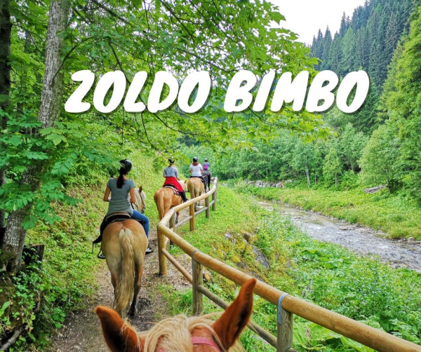 ZOLDO BIMBO: Bimbi a cavallo