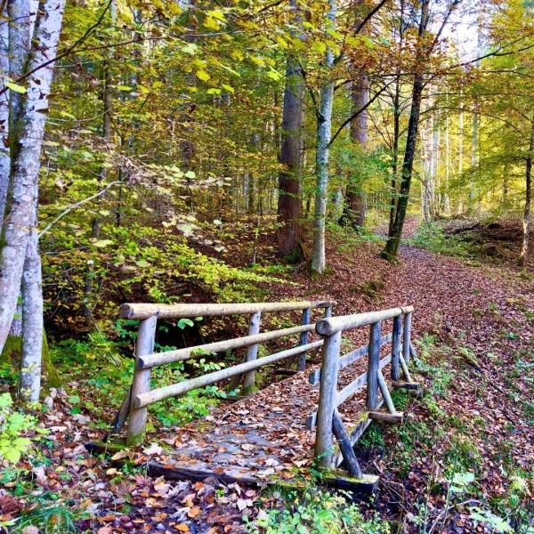Tappa 1: Forno di Là - Pralongo - Colcervèr