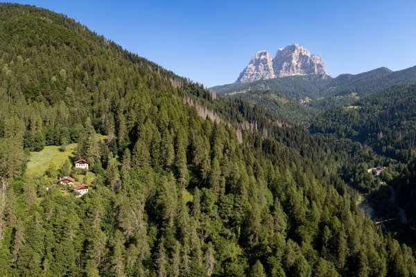 Stage 3: Dont – Fusine