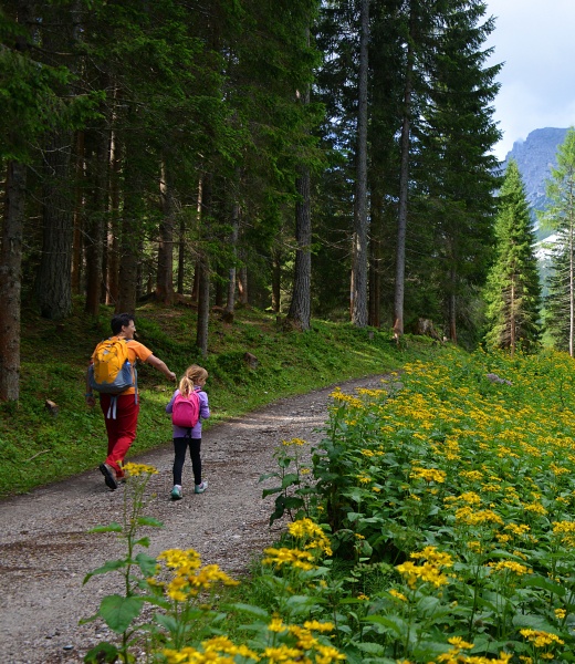 Val di Zoldo: il prato nel piatto