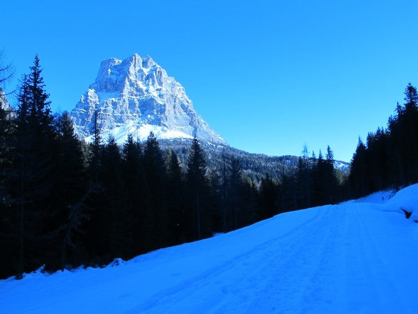 Ciaspolata facile sulla strada delle Loche